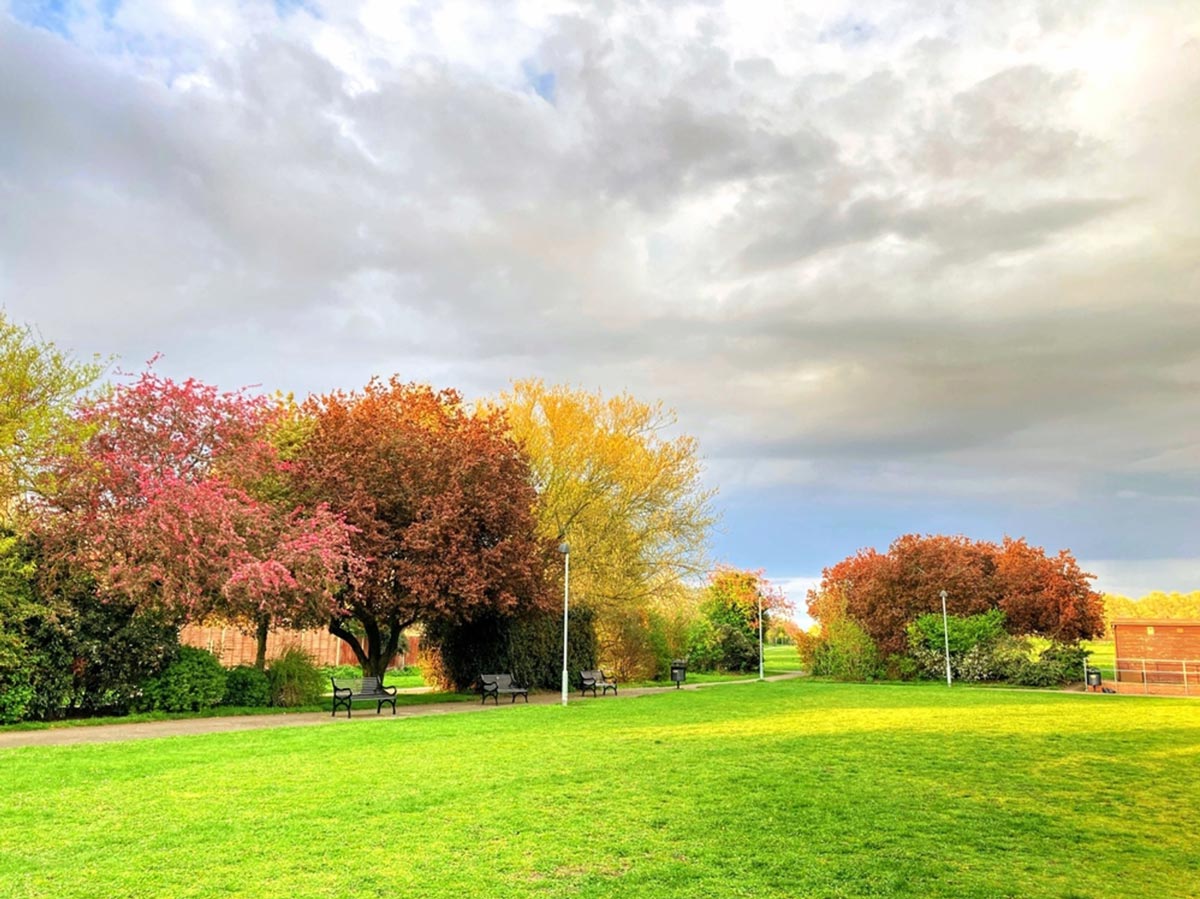 Dulwich's Luxury Living